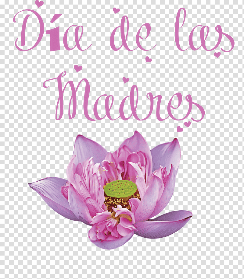 Día de las Madres Mother's Day, Christ The King, St Andrews Day, St Nicholas Day, Watch Night, Thaipusam, Tu Bishvat transparent background PNG clipart