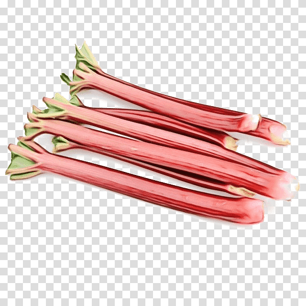 rhubarb vegetable multicolored paints rhubarb red yellow png download -  4096*4096 - Free Transparent Rhubarb png Download. - CleanPNG / KissPNG