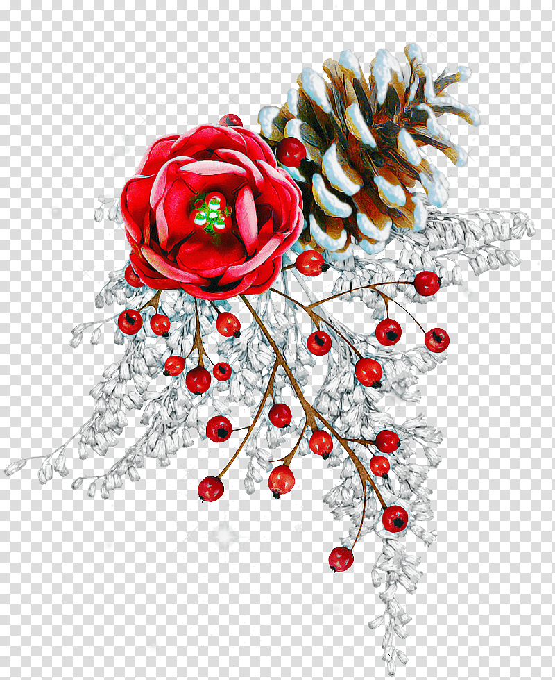 Floral design, Rose Family, Flower, Petal, Christmas Day, Christmas Ornament M, Twig transparent background PNG clipart