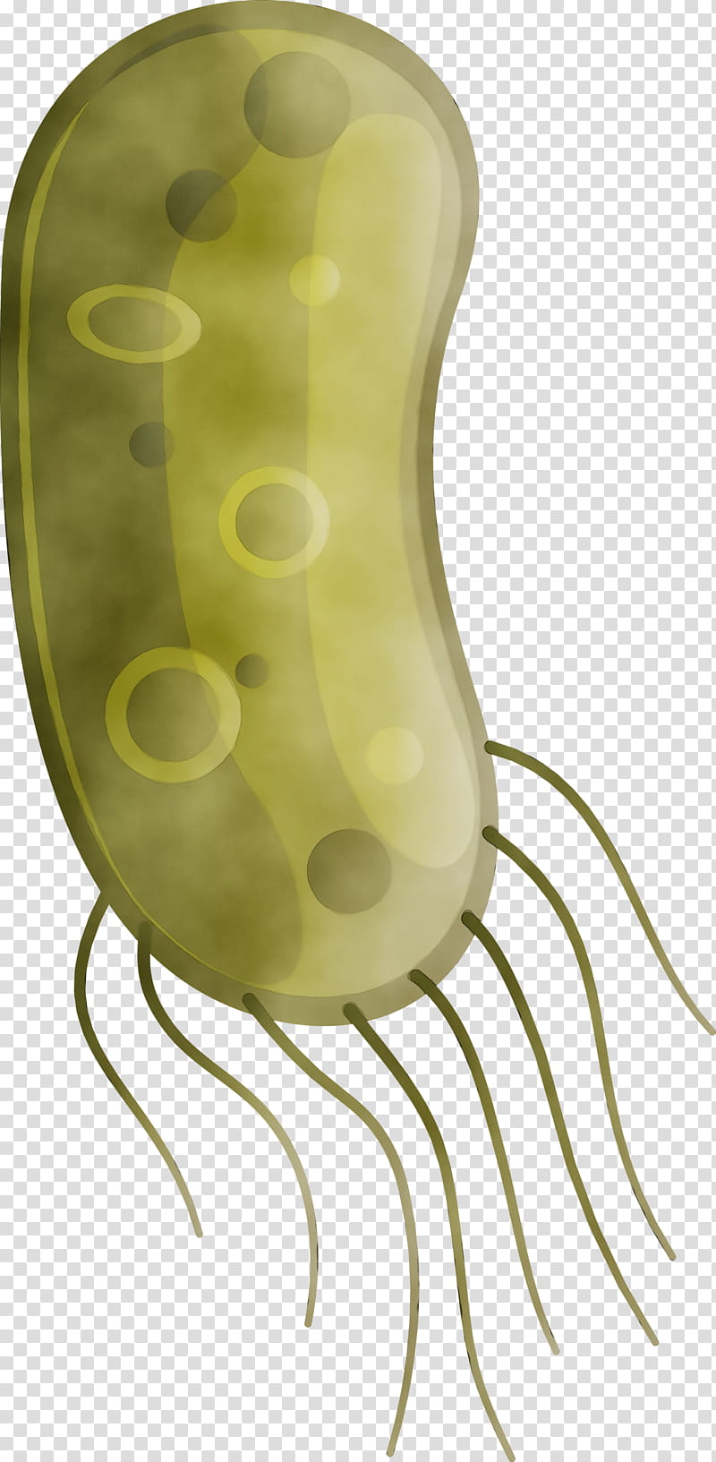 yellow plant nepenthes, Coronavirus, COVID, Watercolor, Paint, Wet Ink transparent background PNG clipart