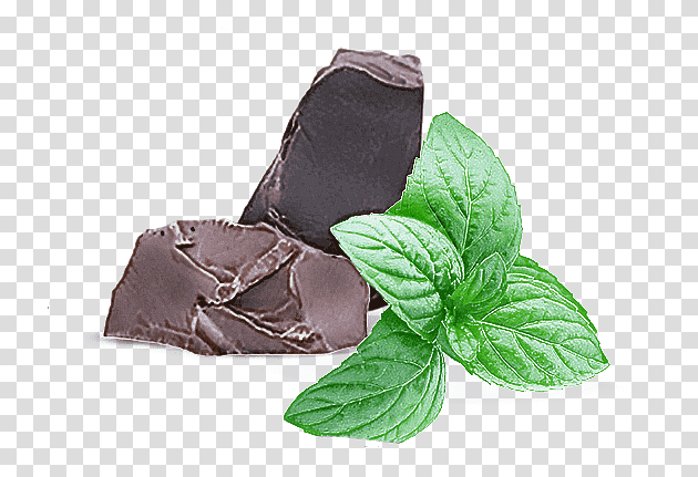 National day, Chocolate, National Confectioners Association, Mint Chocolate, Holiday, February 19, United States transparent background PNG clipart