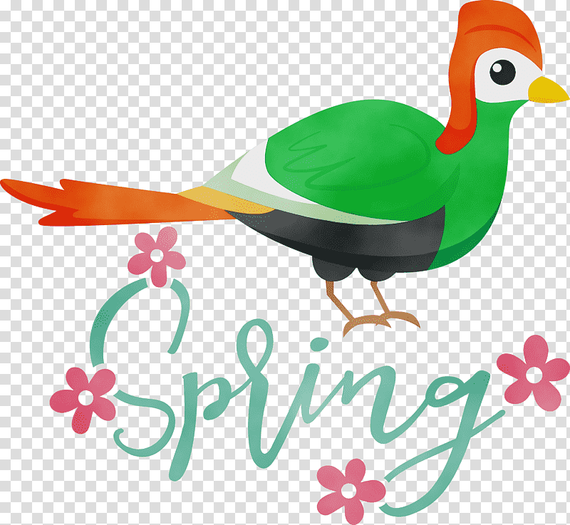 birds ducks water bird beak, Spring
, Watercolor, Paint, Wet Ink, Swans, Meter transparent background PNG clipart
