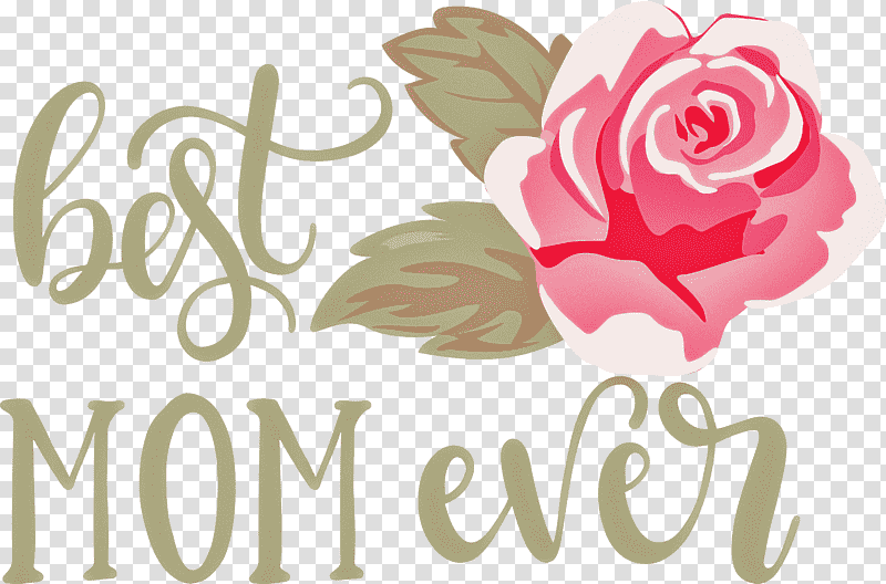 Mothers Day best mom ever Mothers Day Quote, Floral Design, Garden Roses, Cut Flowers, Rose Family, Logo, Valentines Day transparent background PNG clipart