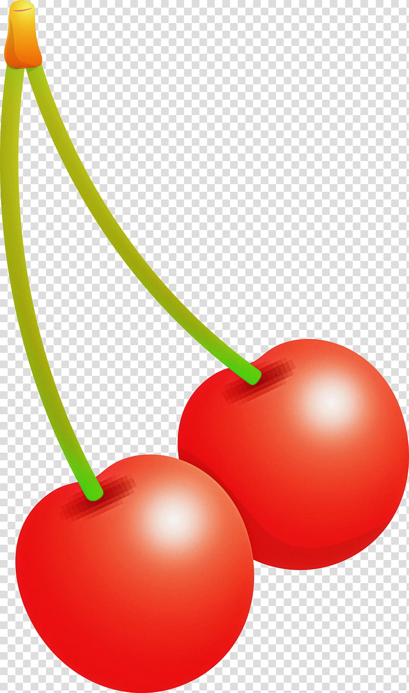 cherry, Natural Foods, Red, Fruit, Plant, Tomato, Drupe, Tree transparent background PNG clipart