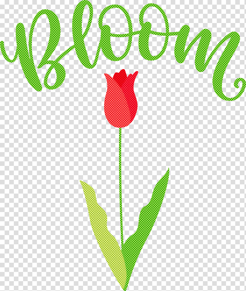 Bloom Spring Flower, Spring
, Leaf, Cut Flowers, Floral Design, Plant Stem, Logo transparent background PNG clipart