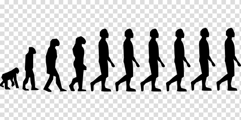Group Of People, Neanderthal, Human Evolution, Modern Humans, Biology, Introduction To Evolution, Great Apes, Aquatic Ape Hypothesis transparent background PNG clipart