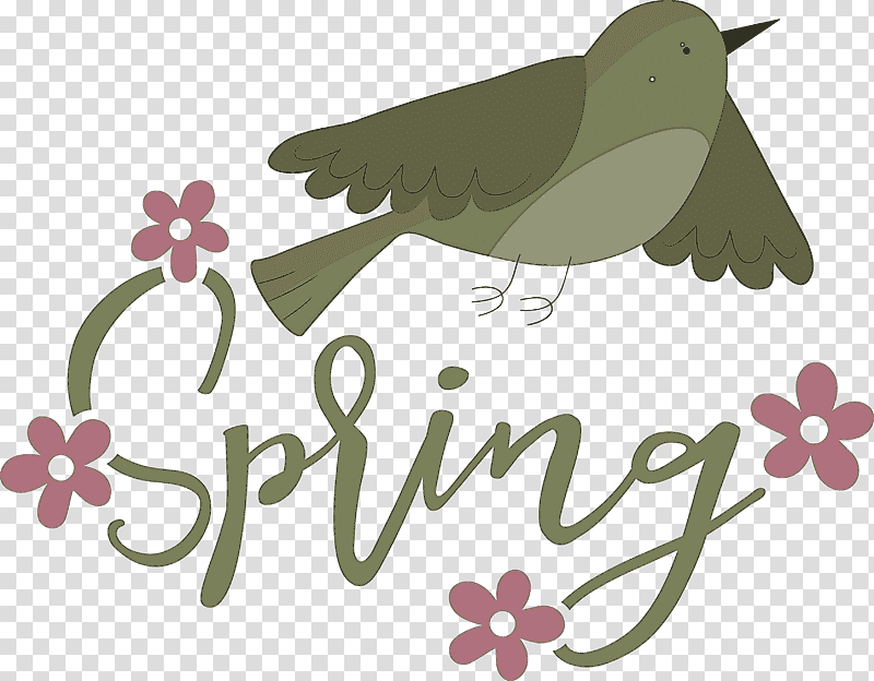Spring Bird, Spring
, Birds, Bats, Fantails, Whiterumped Shama, Starling transparent background PNG clipart