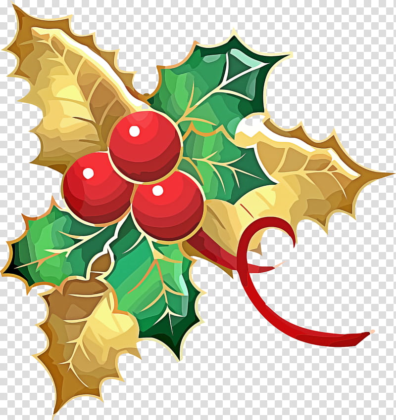 Holly Christmas Ornament, Leaf, Grape Leaves, Plant, Tree, American Holly, Christmas Eve, Plane transparent background PNG clipart