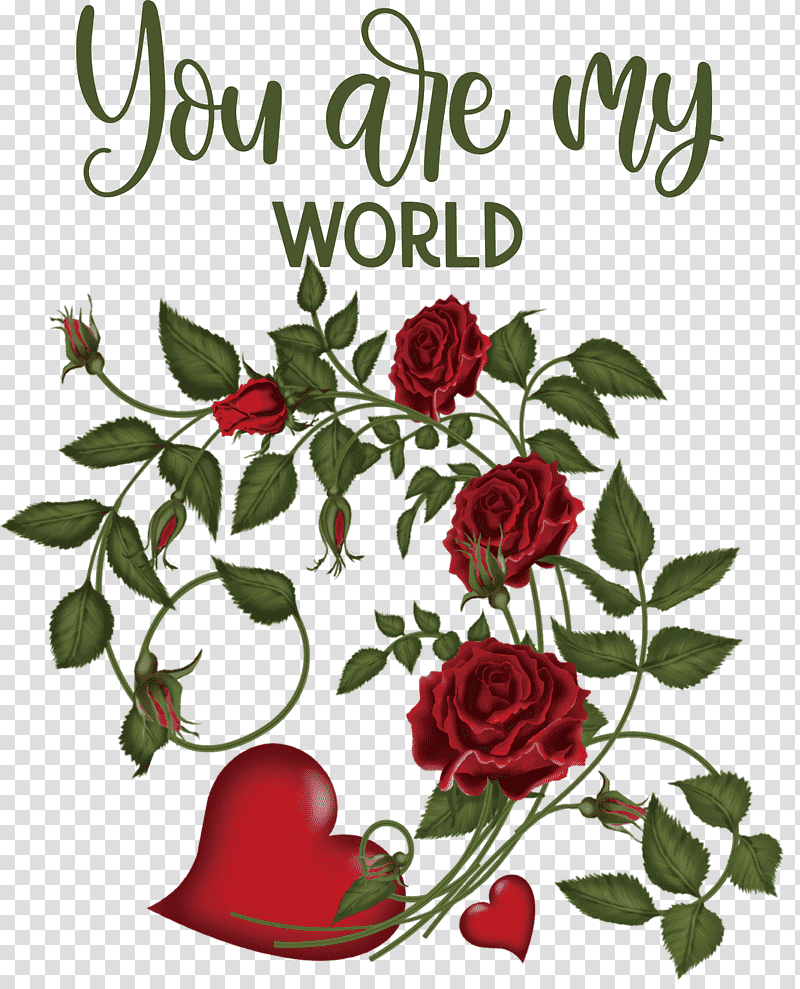 You Are My World Valentine Valentines, Flower, Garden Roses, Red, Floral Design, Pink, Cartoon transparent background PNG clipart