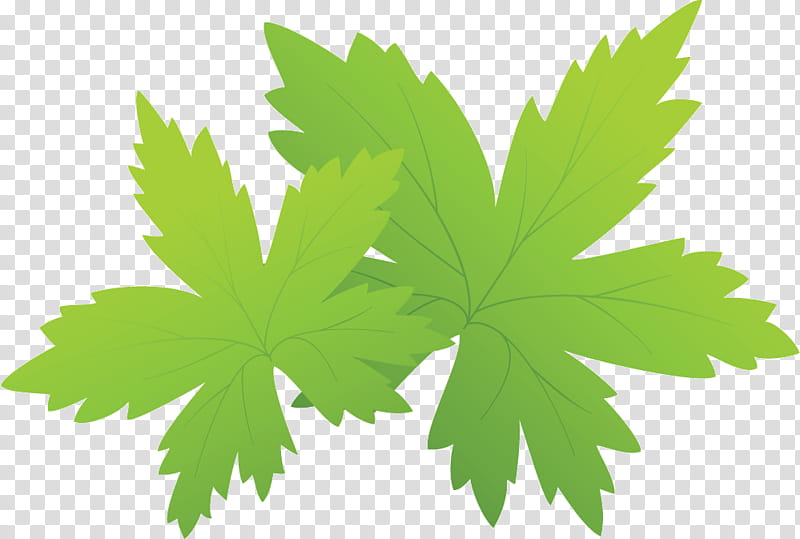 Maple leaf, Hong Kong University Of Science And Technology, Editorial Board, Academic Journal, Book Editor, Chemical Engineering, Academic Conference, Journal Of Chemical Engineering Data transparent background PNG clipart