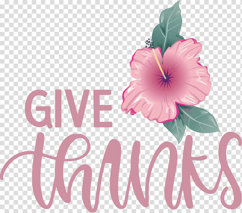 Thanksgiving Be Thankful Give Thanks, Floral Design, Mallows, Hibiscus, Herbaceous Plant, Rose Family, Flower transparent background PNG clipart