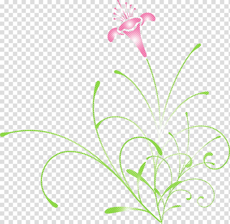 easter flower spring flower, Green, Plant, Pedicel, Leaf, Grass, Plant Stem, Petal transparent background PNG clipart