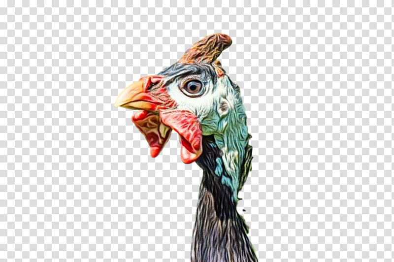 rooster bird chicken head beak, Watercolor, Paint, Wet Ink, Figurine, Neck, Live, Comb transparent background PNG clipart
