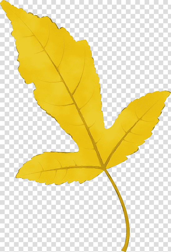 plant stem leaf flower petal maple leaf / m, Watercolor, Paint, Wet Ink, Maple Leaf M, Yellow, Tree transparent background PNG clipart