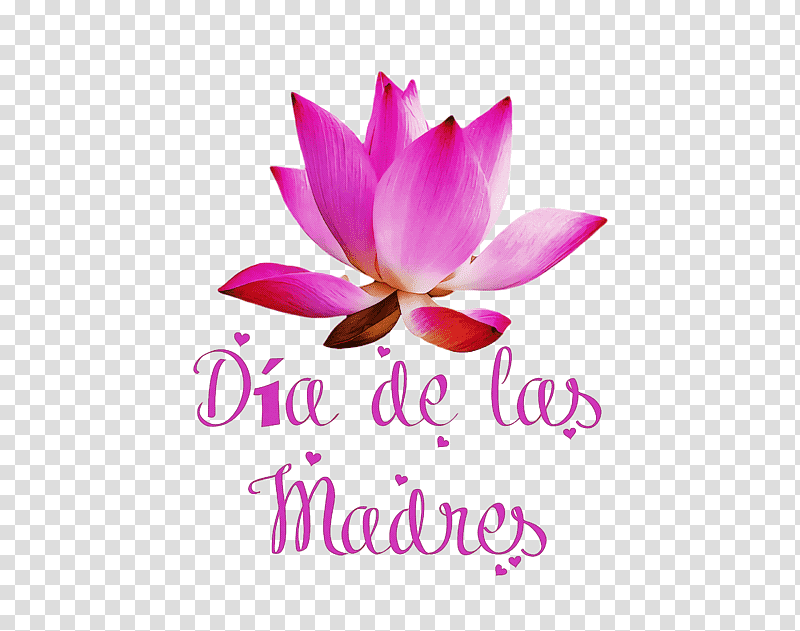 Día de las Madres Mother's Day, Christ The King, St Andrews Day, St Nicholas Day, Watch Night, Thaipusam, Tu Bishvat transparent background PNG clipart