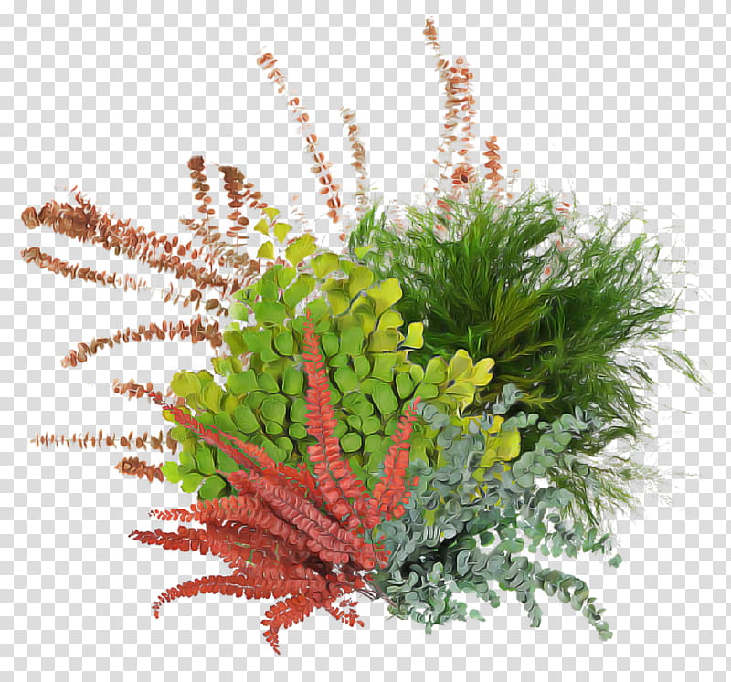 Artificial flower, Plant, Aquarium Decor, Heather, Leaf, Terrestrial Plant, Grass, Astilbe transparent background PNG clipart