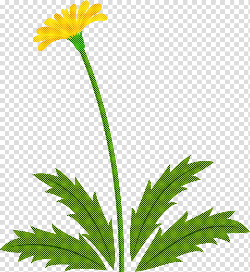 Dandelion flower easter day flower spring flower, Plant, Yellow, Leaf, Chamomile, English Marigold, Grass, Plant Stem transparent background PNG clipart