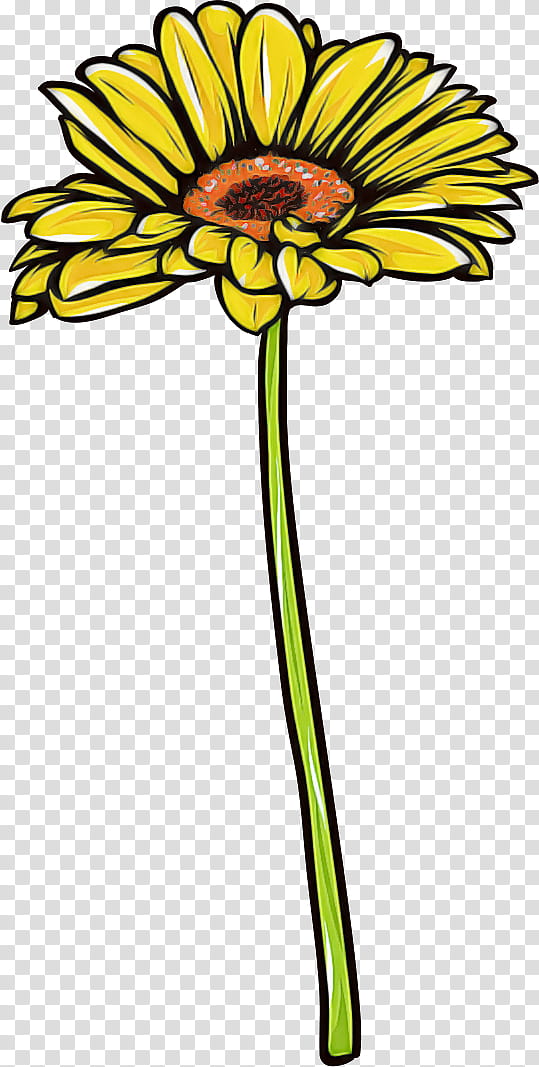 Gerbera daisy marguerite, Flower, Plant Stem, Floral Design, Cut Flowers, Yellow, Line, Mtree transparent background PNG clipart
