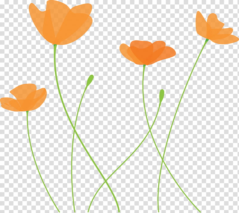 poppy flower, Plant Stem, Pedicel, Petal, Tulip, Poppy Family, Coquelicot, Wildflower transparent background PNG clipart