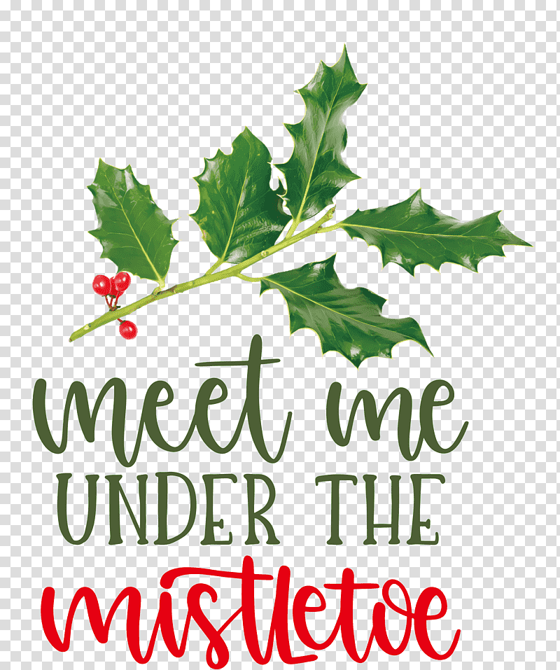 Meet Me Under The Mistletoe Mistletoe, Holly, Leaf, Meter, Mtree, Branching, Aquifoliales transparent background PNG clipart