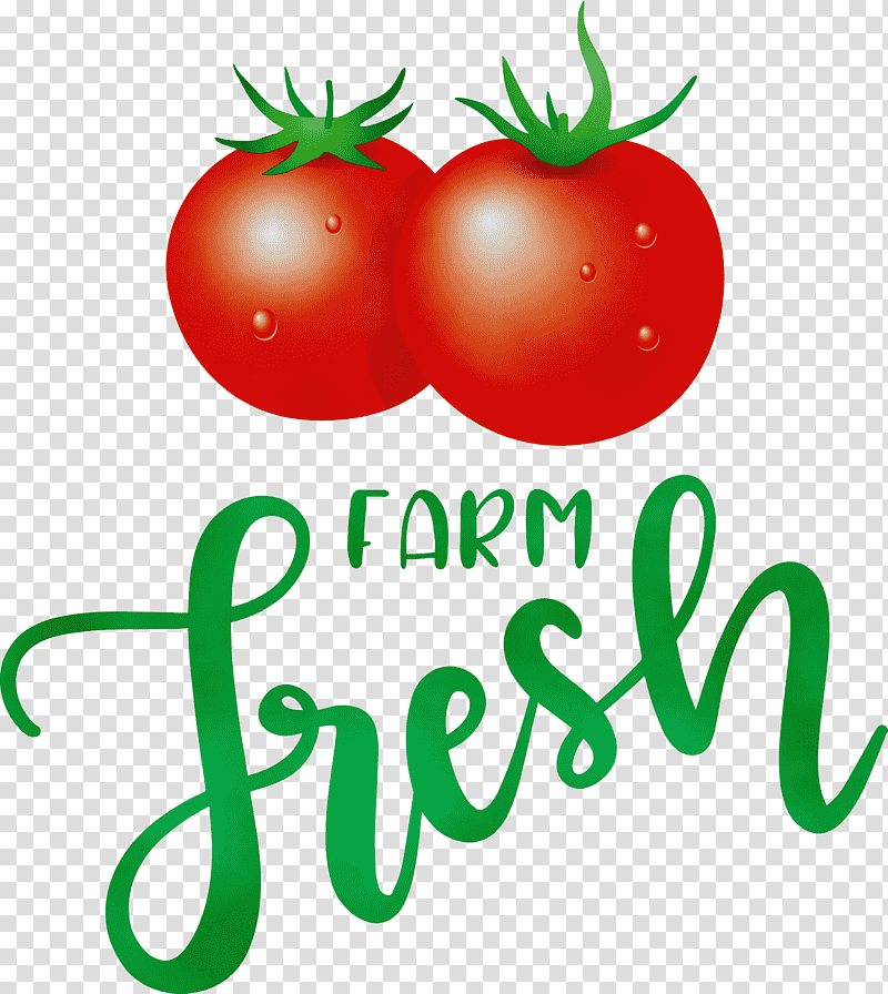 Tomato, Farm Fresh, Watercolor, Paint, Wet Ink, Natural Food, Superfood transparent background PNG clipart