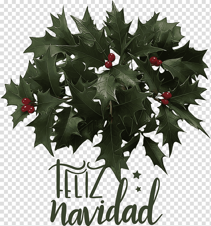 Feliz Navidad Merry Christmas, Leaf, Common Holly, Branch, Mistletoe, Japanese Holly, Evergreen transparent background PNG clipart