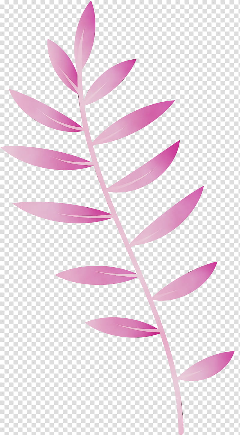 plant stem petal leaf pink m line, Leaf Cartoon, Leaf , Leaf Abstract, Watercolor, Paint, Wet Ink, Plants transparent background PNG clipart