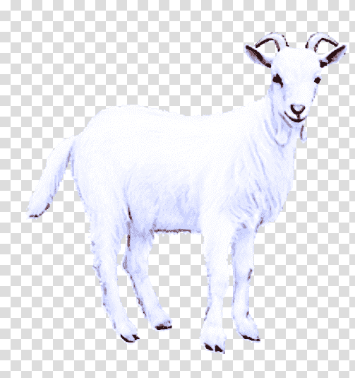 goat mountain goat sheep animal figurine, Family, Biology, Science, Childrens Film transparent background PNG clipart