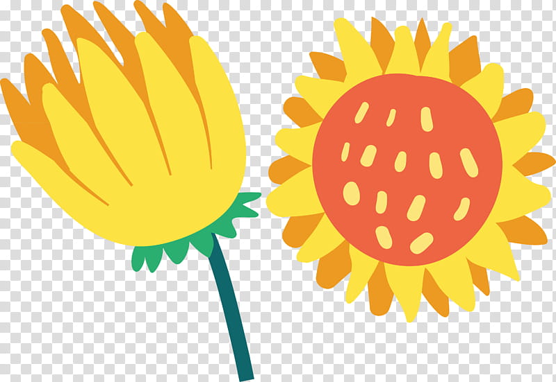brazil elements brazil culture, Common Sunflower, Sunflower Seed, Watercolor Painting, Fruit Tree, Plants, Petal, Sunflowers transparent background PNG clipart