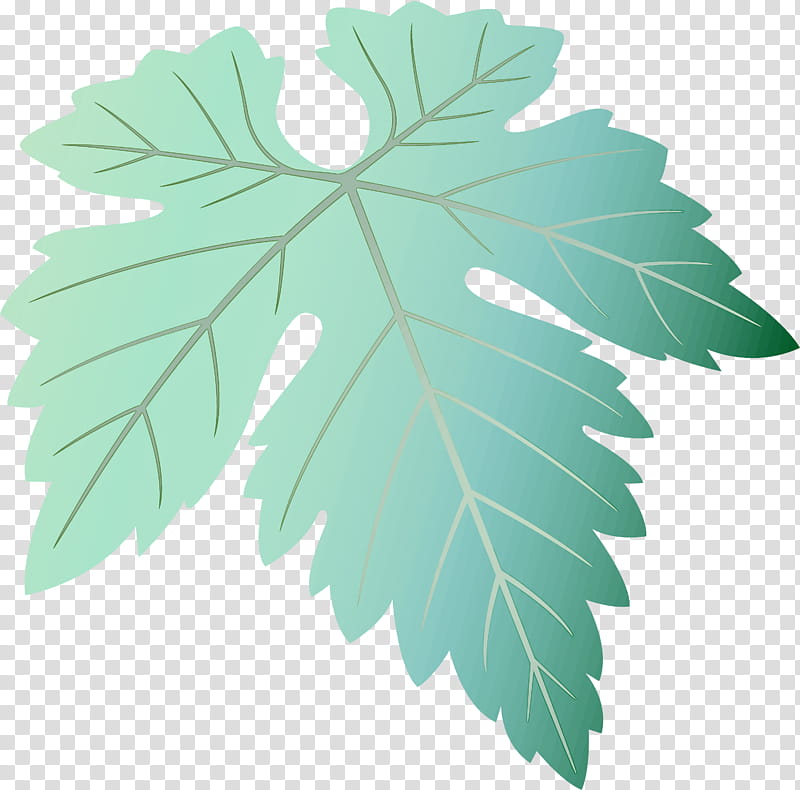 Grapes Leaf leaf, Plant, Flower, Tree, Plane, Woody Plant, Black Maple, Grape Leaves transparent background PNG clipart