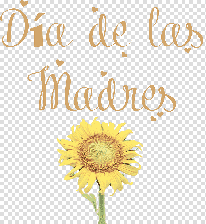 Día de las Madres Mother's Day, Christ The King, St Andrews Day, St Nicholas Day, Watch Night, Thaipusam, Tu Bishvat transparent background PNG clipart