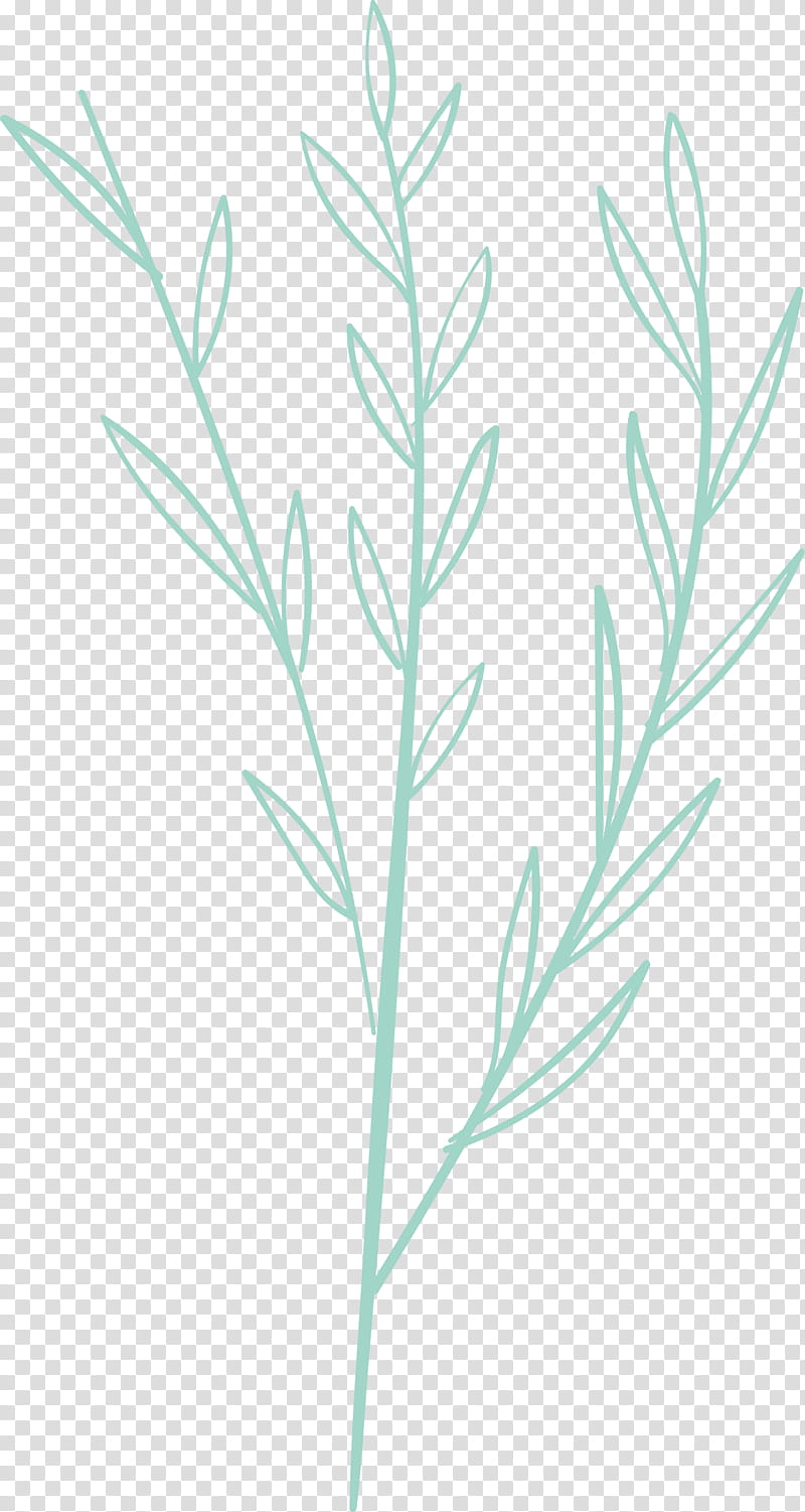 simple leaf simple leaf drawing simple leaf outline, Plant Stem, Twig, Grasses, Plants, Biology, Science, Plant Structure transparent background PNG clipart