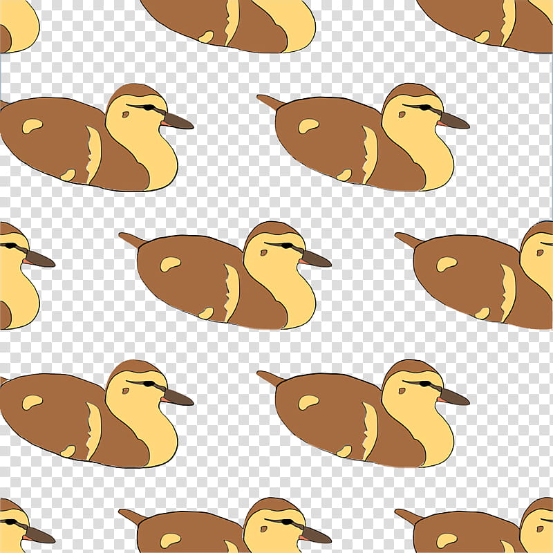 duck waterfowl pattern beak meter transparent background PNG clipart