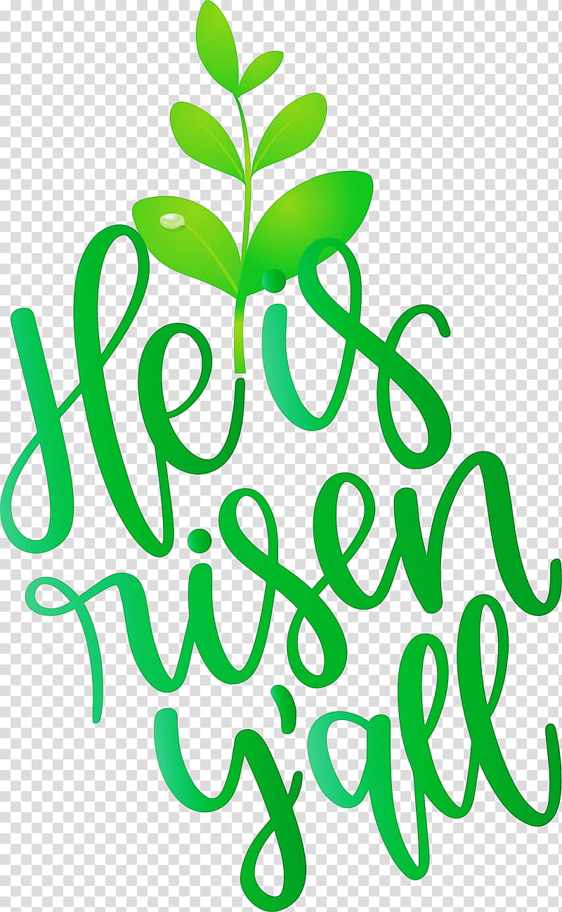 He Is Risen Jesus, Green, Leaf, Text, Plant transparent background PNG clipart