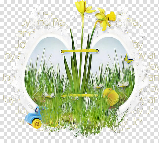 grass yellow flower plant spring, Spring
, Grass Family, Narcissus, Easter
, Meadow, Camomile, Tulip transparent background PNG clipart