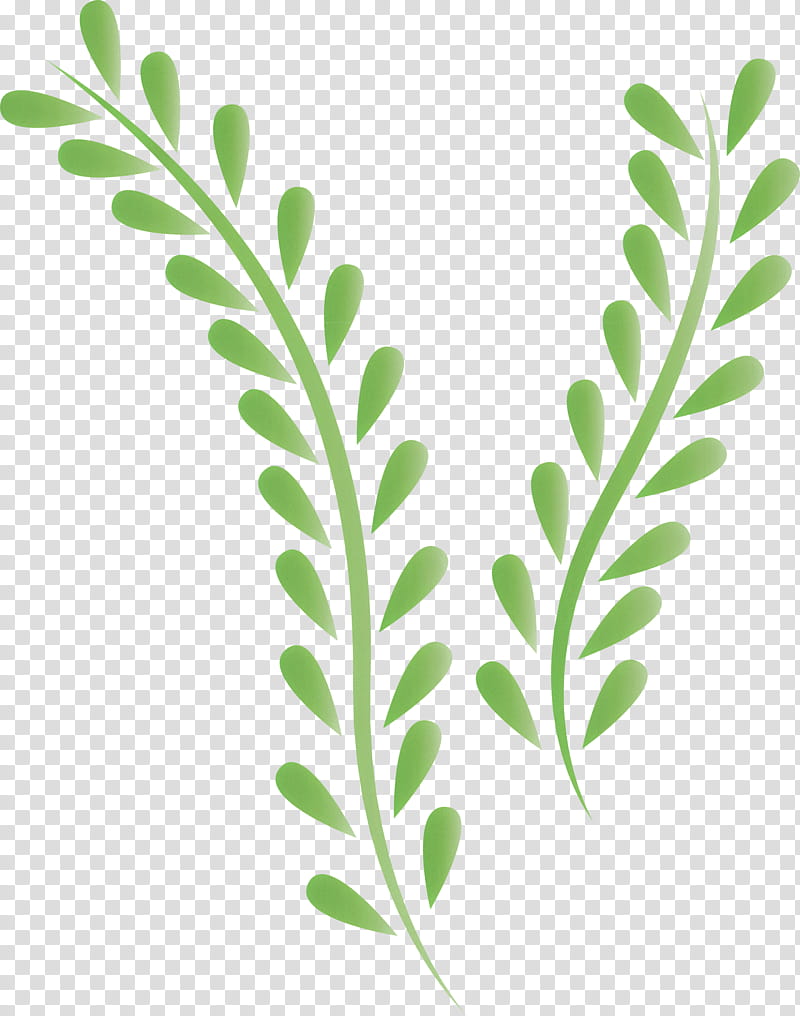 Floral design, Twig, Leaf, Milwaukee, Floristry, Plant Stem, Meter, Subshrub transparent background PNG clipart