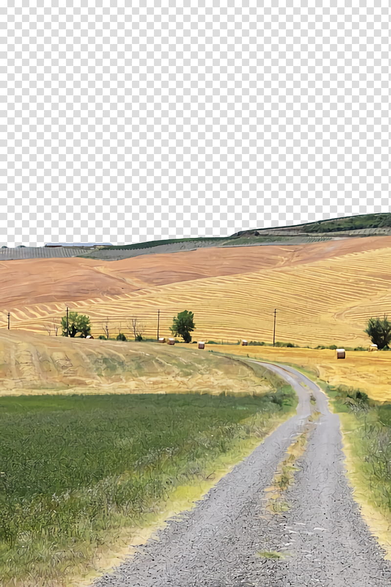 soil steppe grassland rural area ecoregion, Grasses, Farm transparent background PNG clipart