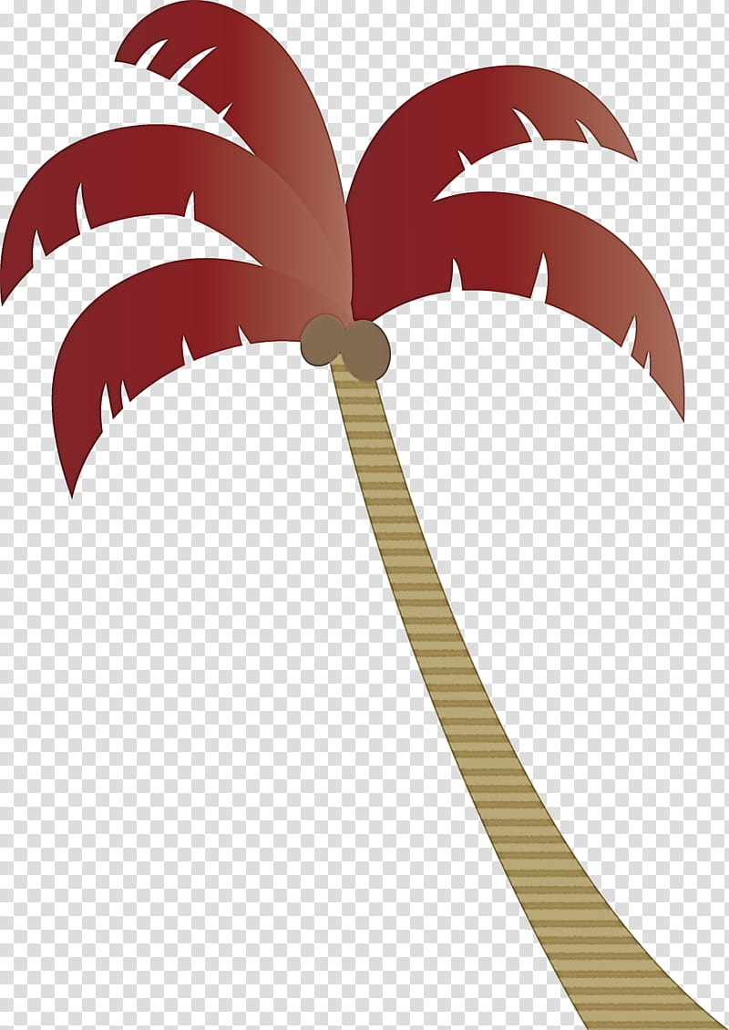 Palm trees, Beach, Cartoon Tree, Leaf, Root, Archontophoenix Cunninghamiana, Branch, Plant Stem transparent background PNG clipart