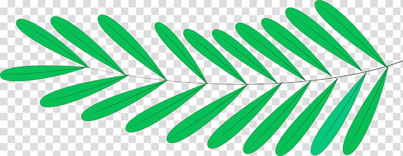 leaf plant stem angle line point, Meter, Reproducibility, Research, Tree, Reproduction, Plant Structure, Plants transparent background PNG clipart
