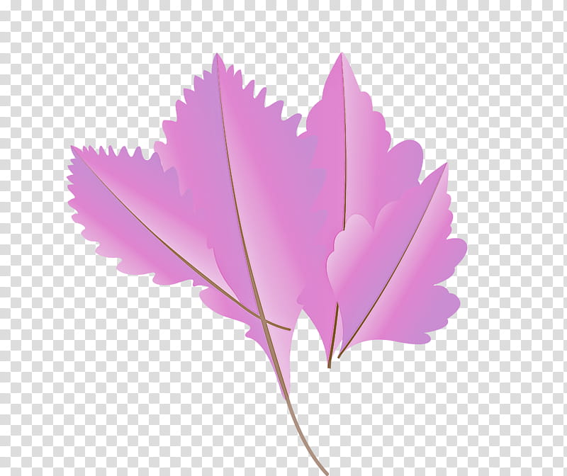 Maple leaf, Autumn Leaf, Fall Leaf, Cartoon Leaf, Plant Stem, Tree, Twig, Silver Maple transparent background PNG clipart