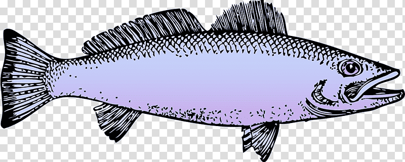 oily fish sardine milkfish fish barramundi, Purple, Animal Figurine, Marine, Biology, Science transparent background PNG clipart