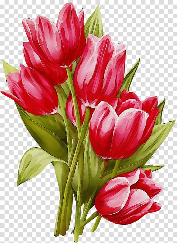 Artificial flower, Watercolor, Paint, Wet Ink, Tulip, Cut Flowers, Plant, Petal transparent background PNG clipart