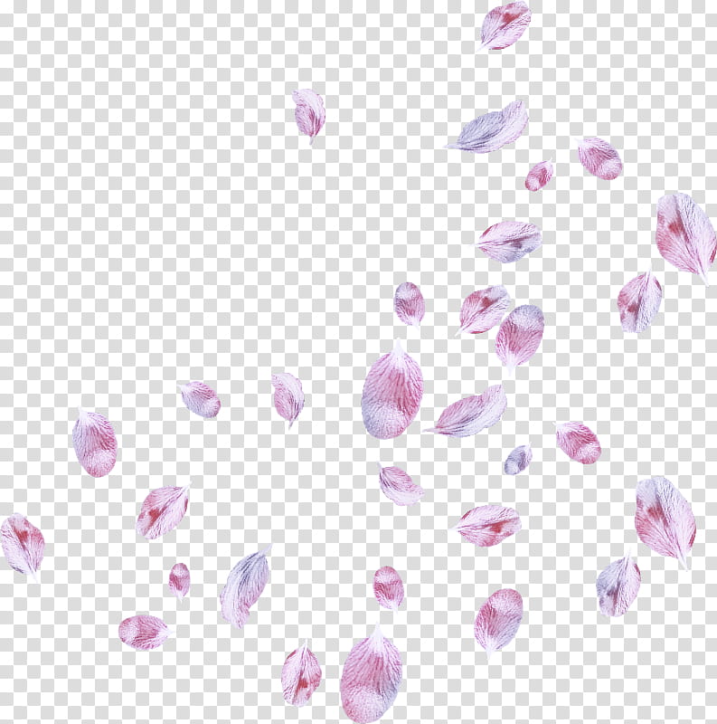 Lavender, Pink, Violet, Lilac, Purple, Petal, Heart, Plant transparent background PNG clipart