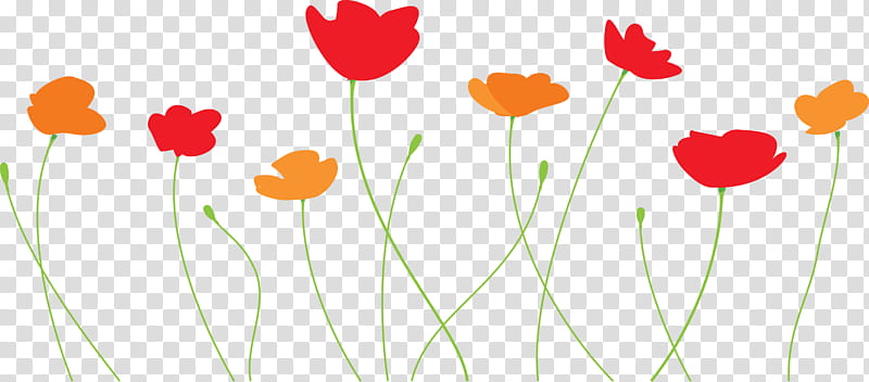 poppy flower, Plant, Plant Stem, Coquelicot, Pedicel, Petal, Tulip, Wildflower transparent background PNG clipart