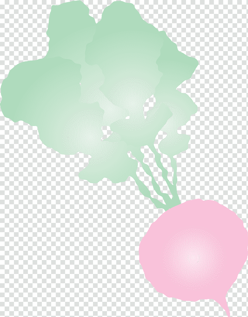 radish, Leaf, Petal, Tree, Green, Meter, Flower transparent background PNG clipart