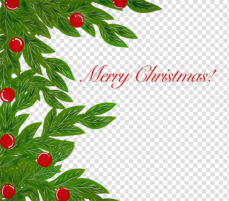 Christmas Day, Preacher, Pastor, Kangnam Joongang Baptist Church, Cartoon transparent background PNG clipart