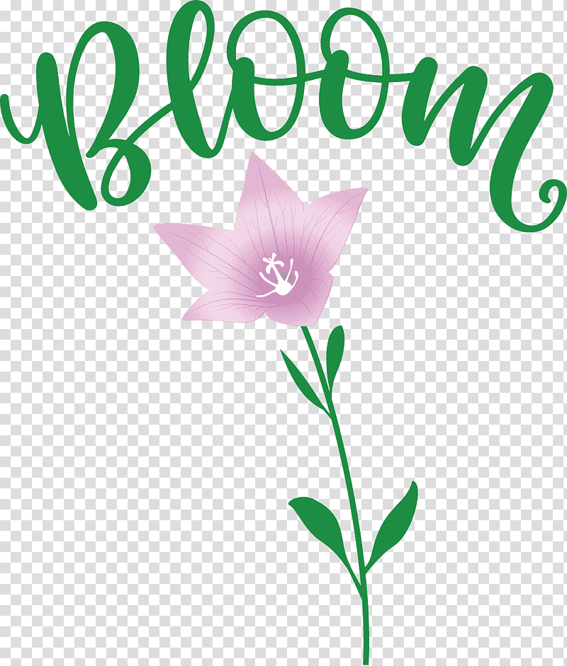 Bloom Spring Flower, Spring
, Wall Decal, Sticker, Room, Leaf, Text transparent background PNG clipart