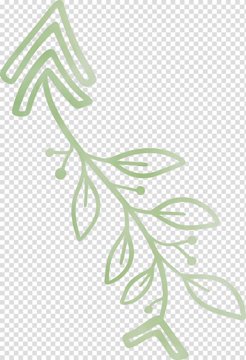 plant stem flower leaf green meter, Boho Arrow, Cute Arrow, Hand Drawn Arrow, Watercolor, Paint, Wet Ink, Plants transparent background PNG clipart