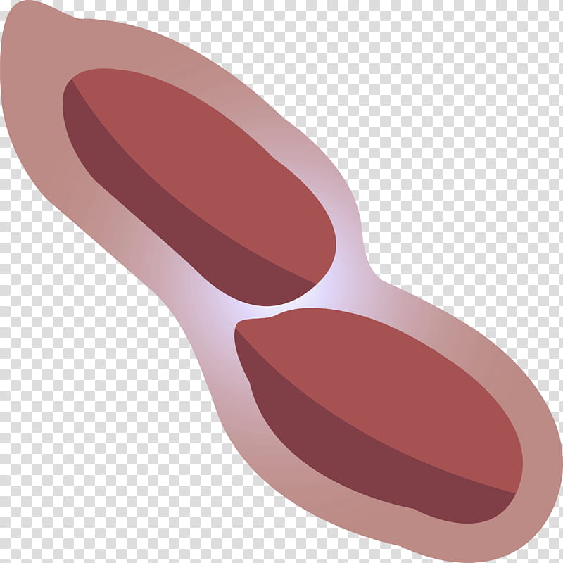 Peanuts, Spoon transparent background PNG clipart