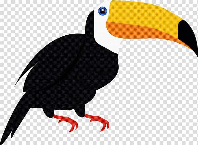 Feather, Cartoon Bird, Cute Bird, Toucans, Birds, Beak, Piciformes, Hornbill transparent background PNG clipart